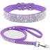 Pet Collar Leash Set